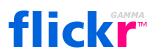 Flickr Photos