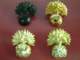 capbadges_small.jpg
