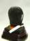 mountedbearskin_small.jpg